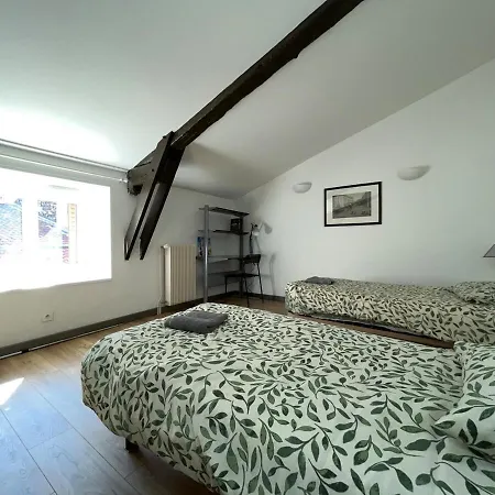 Appartement Hypercentre Maison De Ville, Rue Pietonne Animee